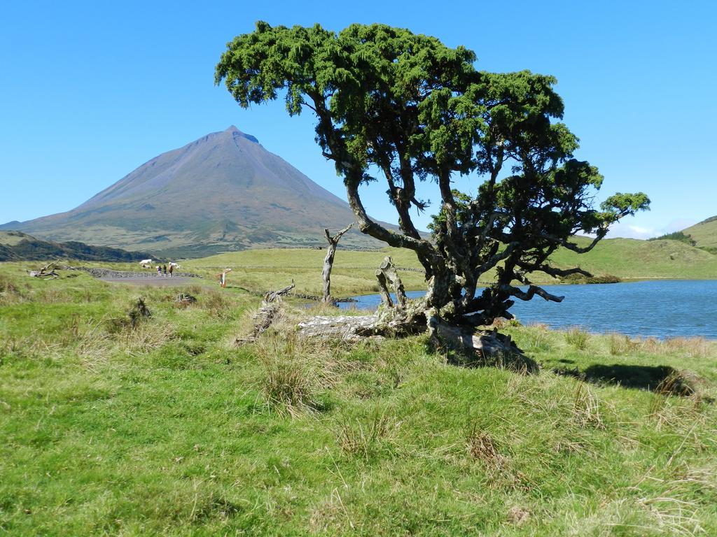 Adega Velha Villa Calheta de Nesquim Eksteriør billede